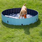 60405_dog_pool_mit_hund_03_7